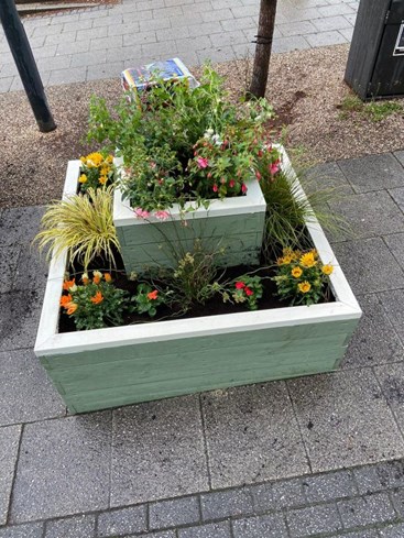 One of the new planters in Staple Hill