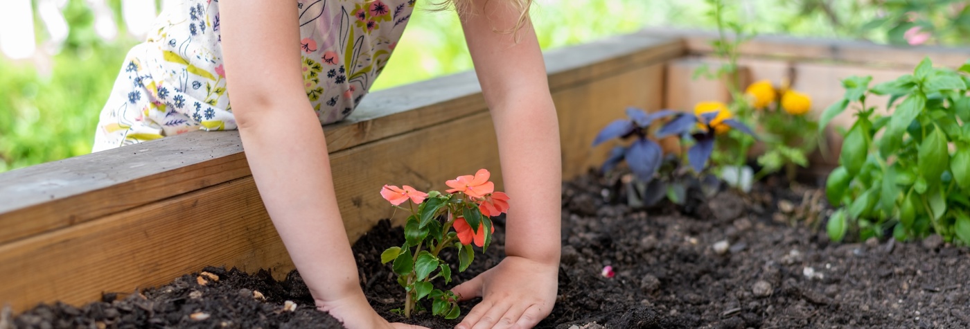 A child planting a flower