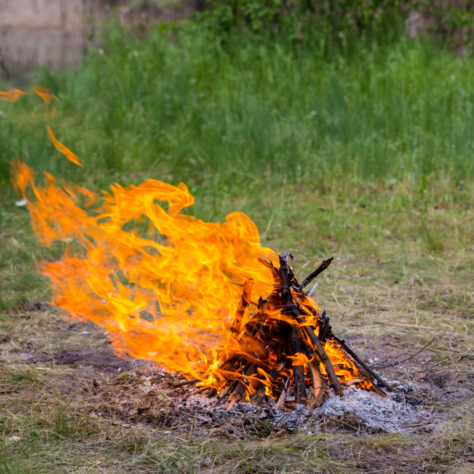 Flame Of Campfire On Green Meadow 2026 03 26 01 35 06 Utc